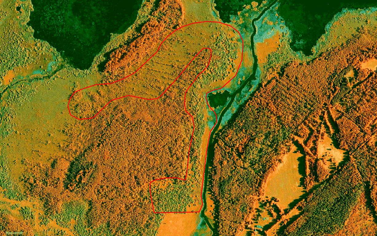Taastamisala piirid (31 ha)