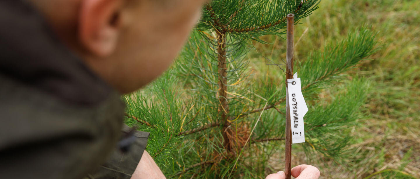 Forest research image