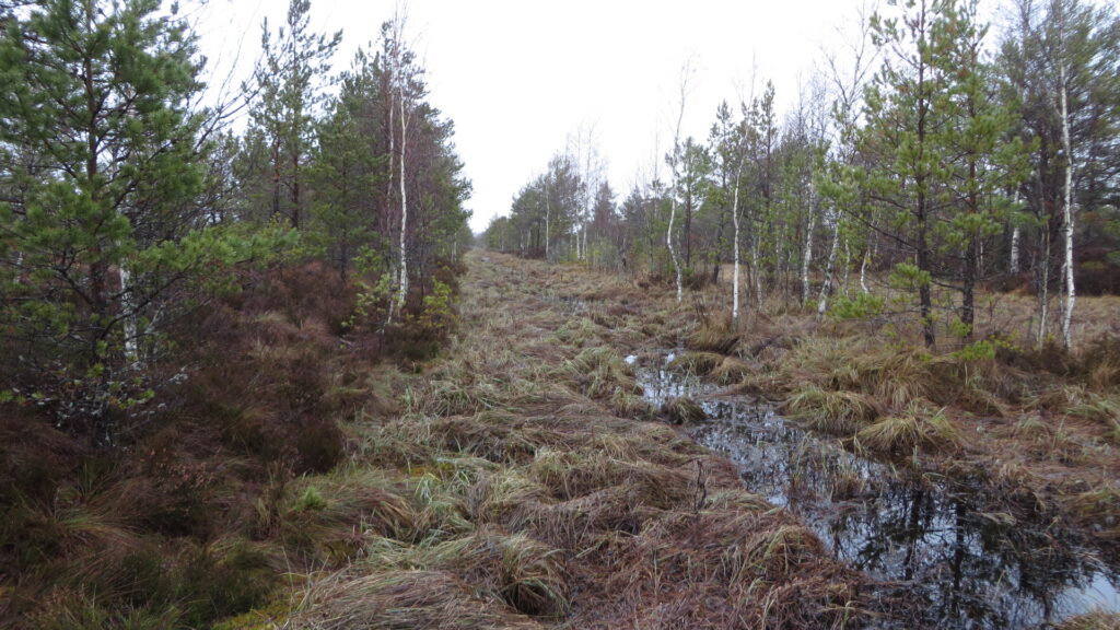 Määvli piirdekraav