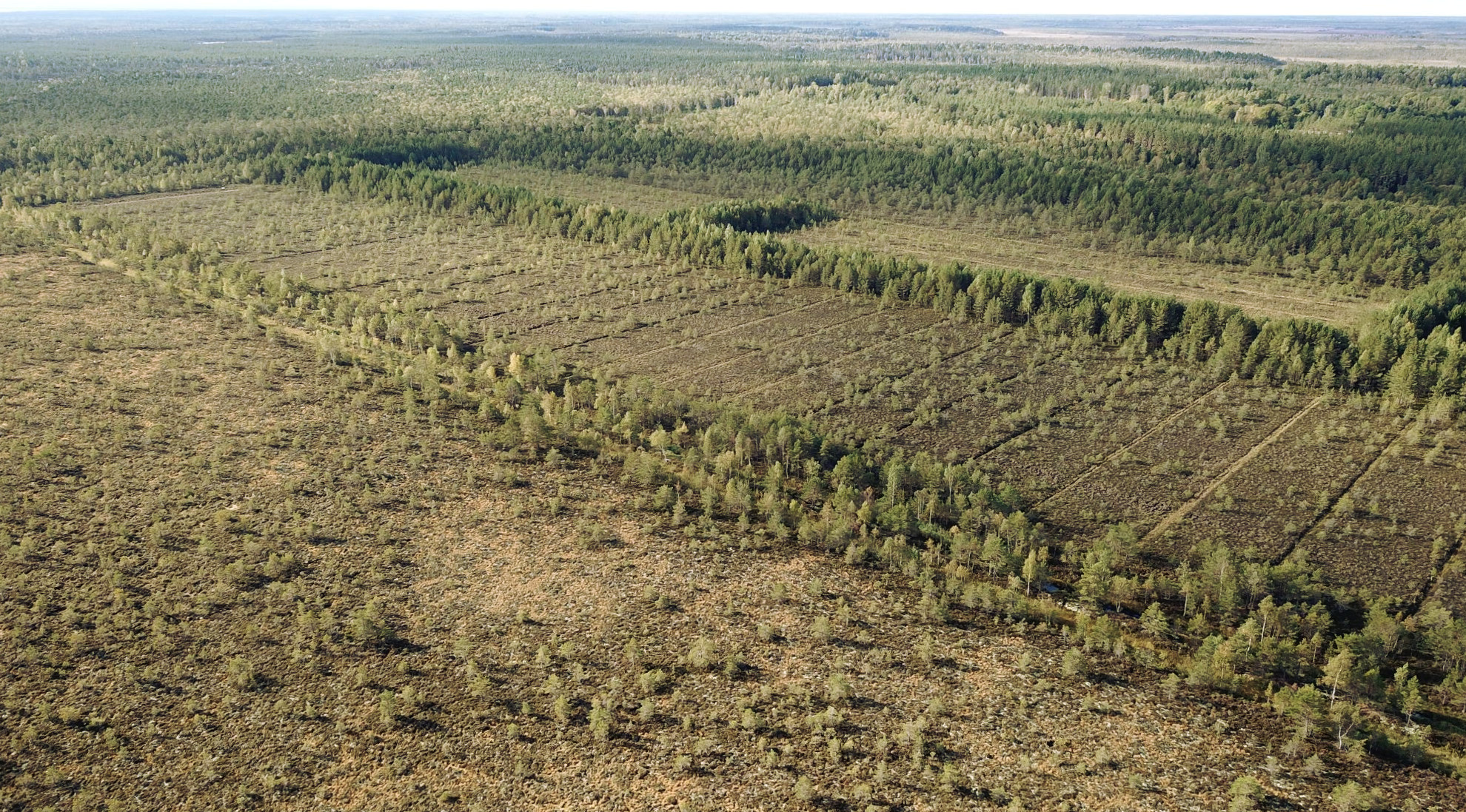 Määvli raba droonifoto