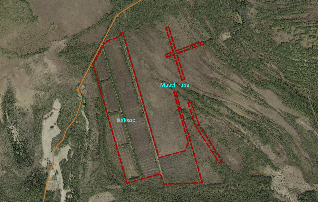 Määvli raba ja jääksoo