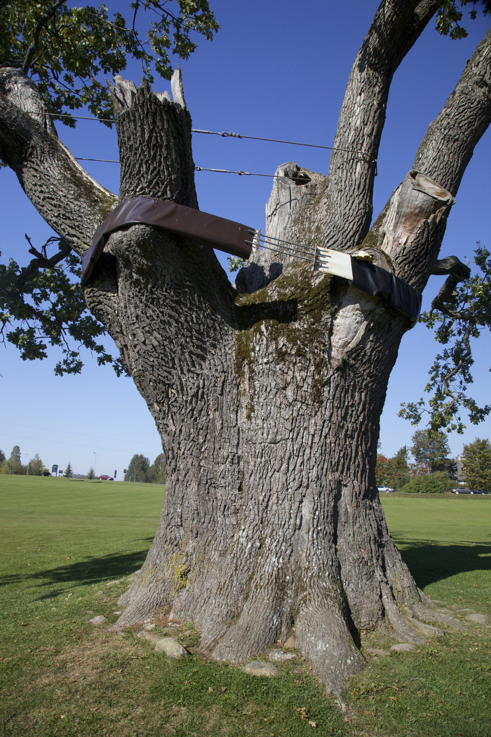 Pühajärve sõjatamm