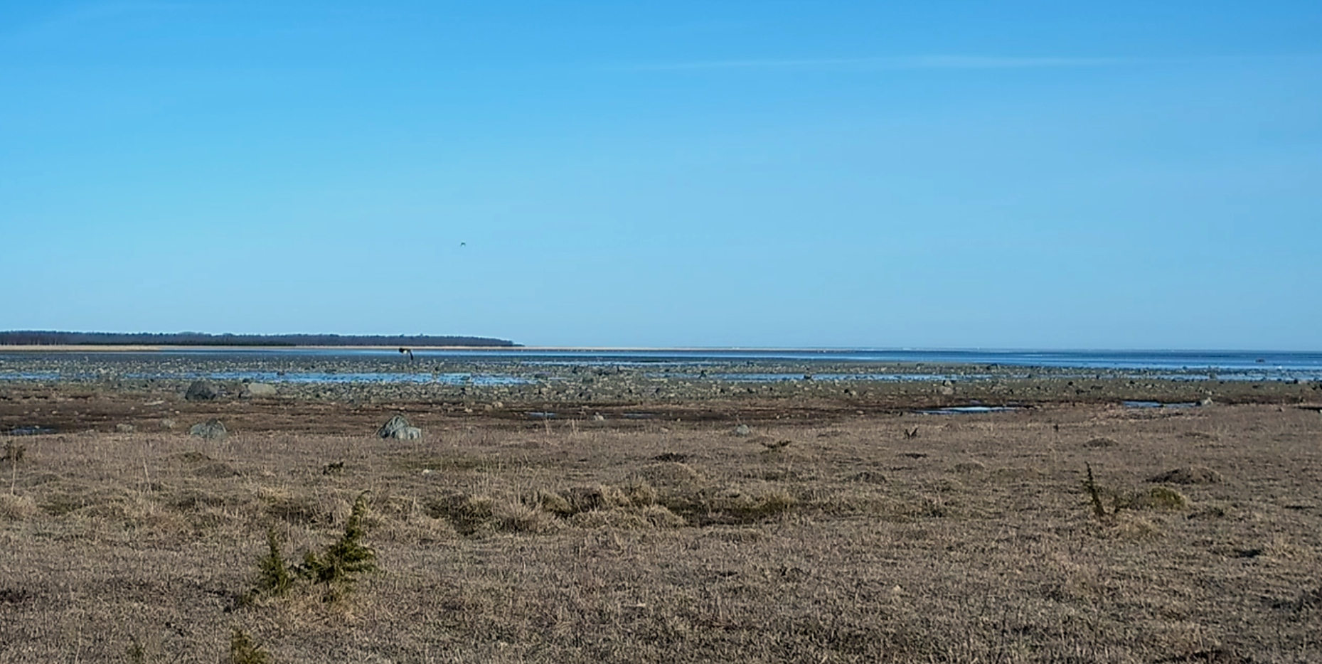 Sassi poolsaare vaade