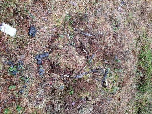 Metsisekuke suled ja kiskja väljaheited