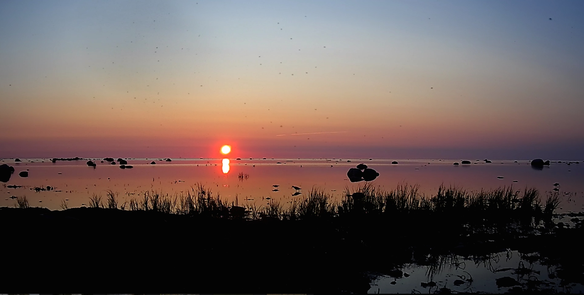 Kärbsed ja päikeseloojang mere ääres