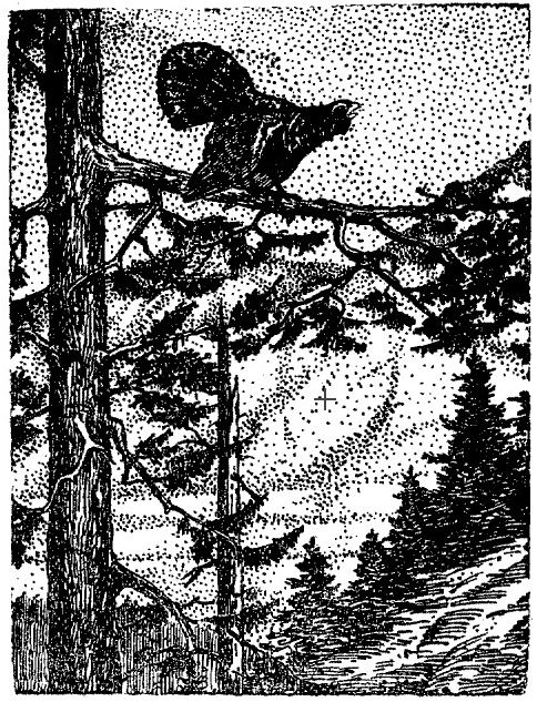 Järvamaa 16.04.1931 "Laul kõrgelt puult"