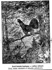 Metsise pilt ajalehes Waba Maa 15.04.1933