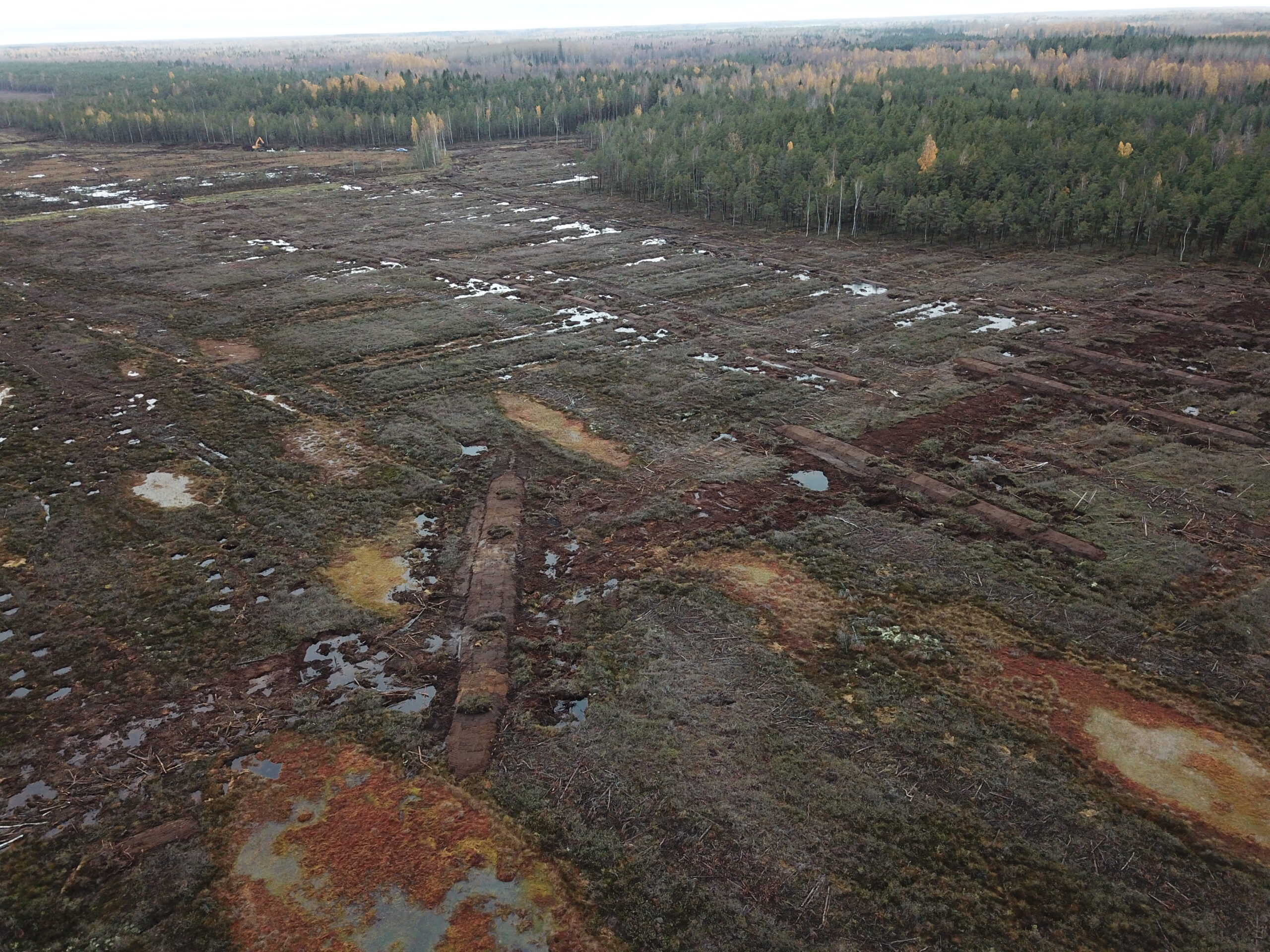 Droonifoto paisudega suletud kraavidest