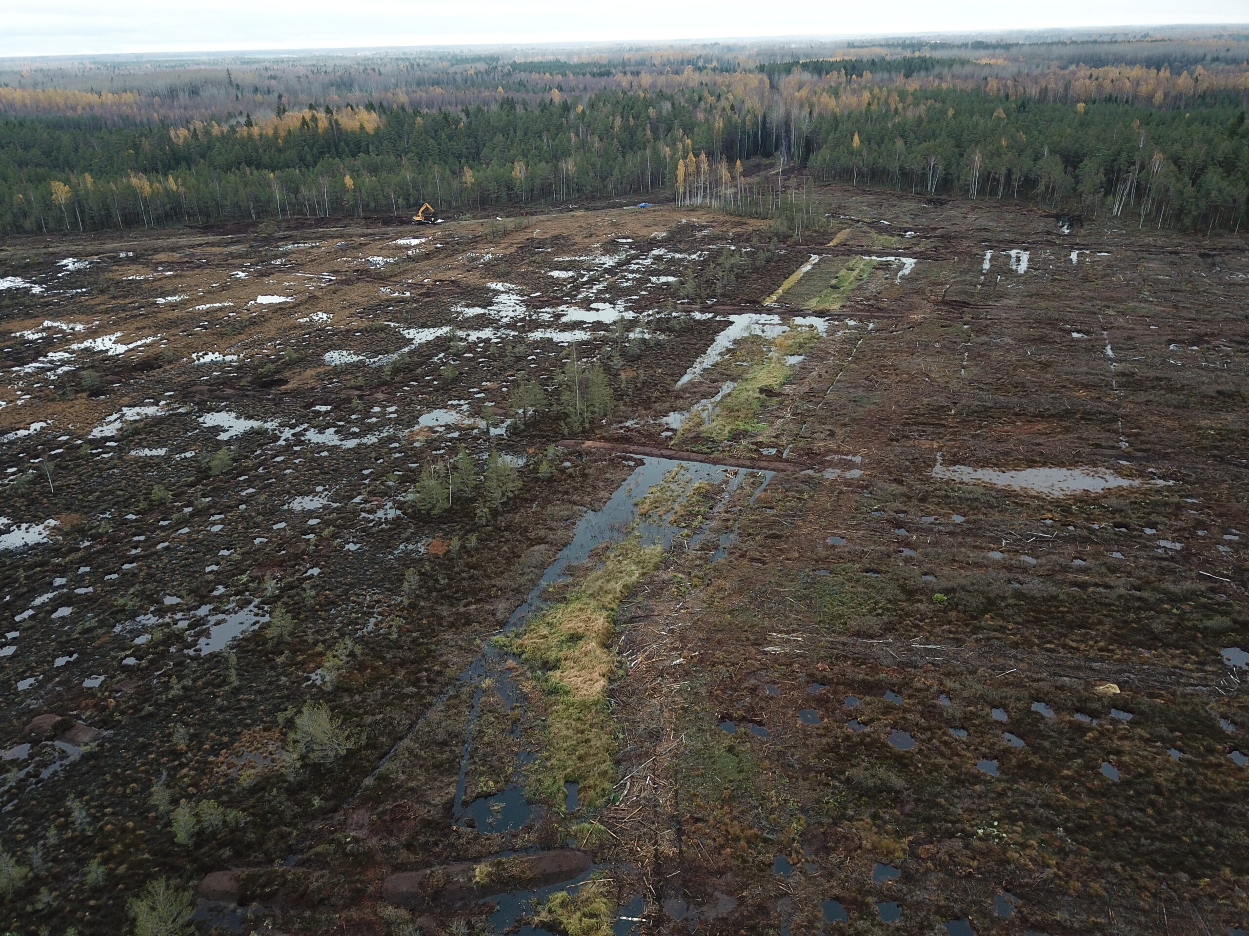 Droonifoto paisudega suletud kraavidest