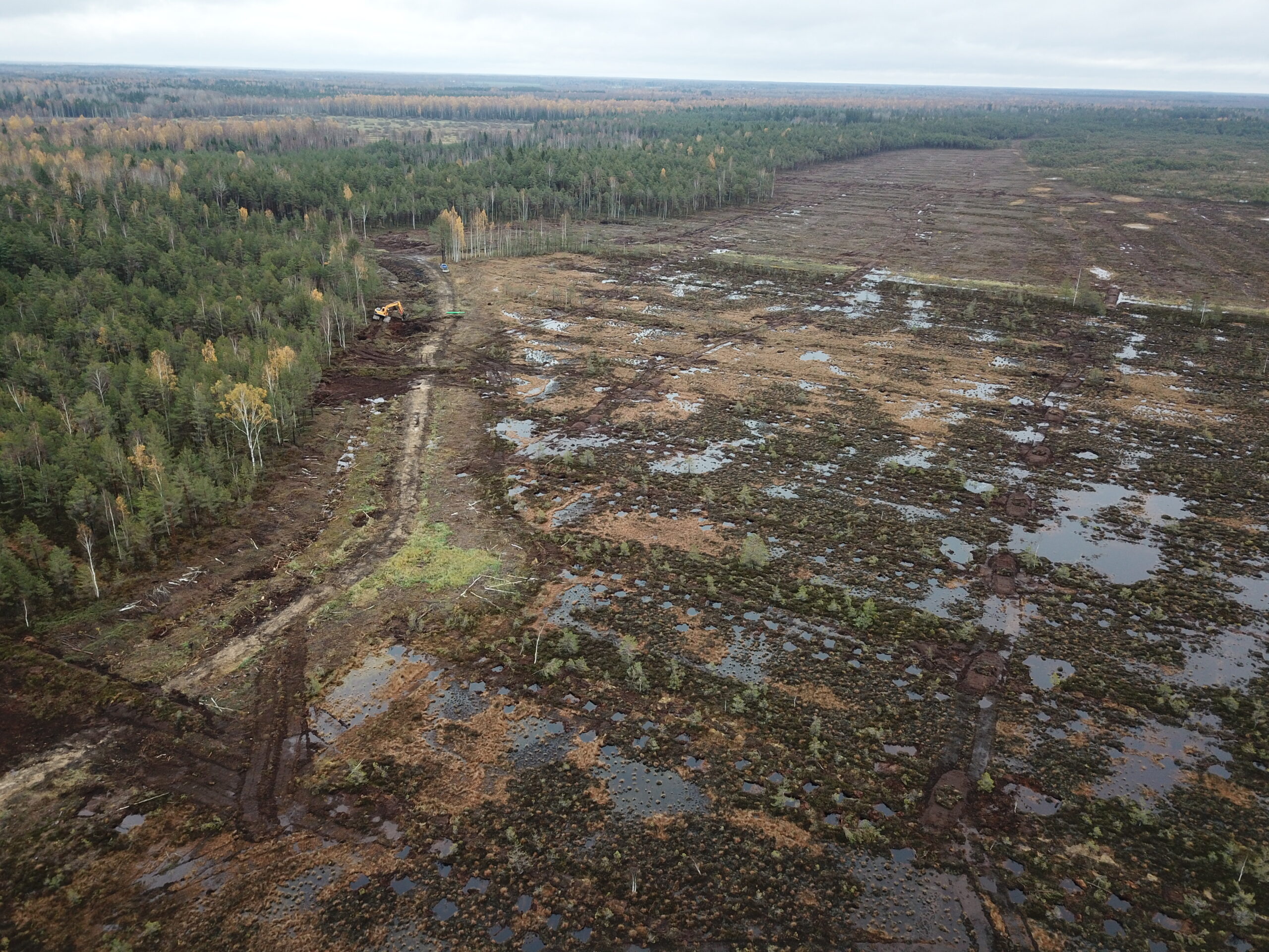 Droonifoto paisudega suletud kraavidest