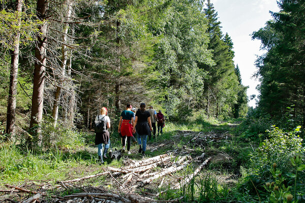 Übina allikasoose viib vana metsatee. Foto: Oleg Tsõmbarevich