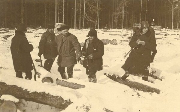 Asunike tehtud raied riigimetsast kvalifitseerusid pigem rüüstamiseks kui heaperemehelikuks metsakasutuseks.