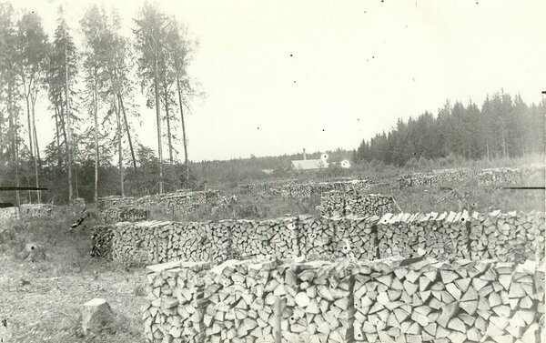 Asunike hasartne ja läbimõtlematu küttepuude ületootmine viis hinnad alla ja toodang ei leidnud enam ostjat. 1930. aastate keskpaigaks olid asunike metsad raiutud ja tekkis küttepuude puudus.