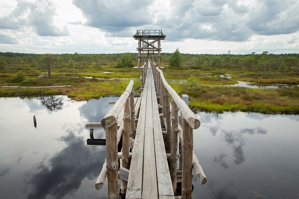 Männikjärve raba õpperada Jõgevamaal