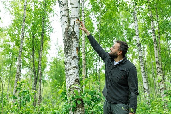 Head kasepalki need märjas pinnases kasvavad puud ei anna, küll aga on põnev vaadata, kuidas „arenevad“ puudele sisse pandud tšaagatüüblid.