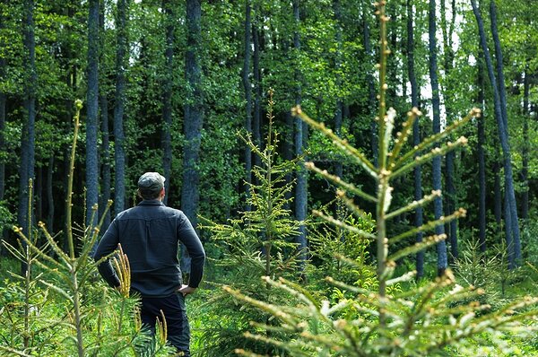 Erko Soolmann oma isiklikus õppekatsepuhkemetskonnas Läänemaal, kus on koht ka 2018. aastal rajatud kuusenoorendikul.