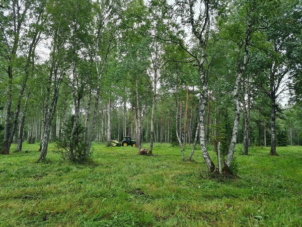 Hooldustööd puisniidul. Foto: Ants Animägi