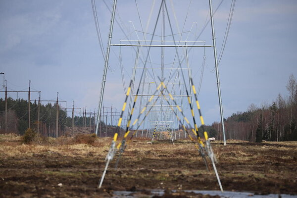 Äsja uuendatud Viru-Mustvee 330 kV elektriliin, mille kõrval paralleelne Viru-Paide liin, mis aga lähitulevikus demonteeritakse. Seetõttu väheneb ka hetkel kohati lausa 120 m laiune lage kaitsevöönd 80 meetrini. Foto: Ants Animägi.