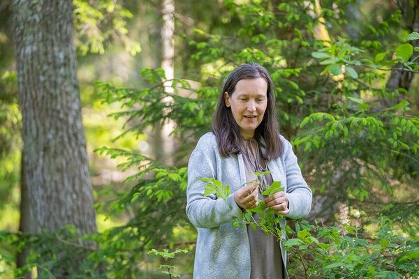  Liis arvab, et tema taimehuvi on kaasa sündinud, sest keegi pole teda taimedega tegelema kutsunud, vaid ta on alati ise taimemaailma avastanud.