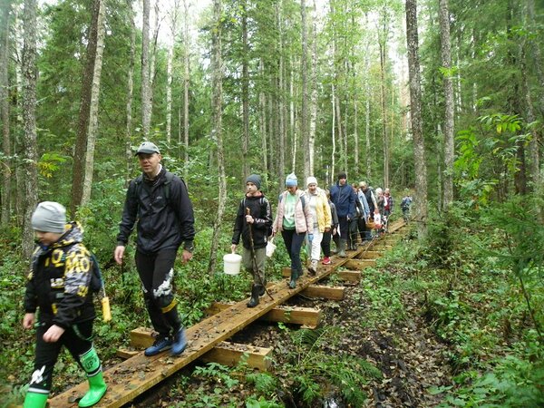 Eelmisel aastal ehitati siia mudasele lõigule RMK Kirde-Eesti külastusala juhi Heinar Juuse eestvedamisel kasepuidust laudtee. Aitäh talle selle eest! Foto: Anatoli Tarassov