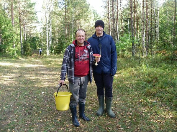 Ilmselt nõustuvad kõik, et punane kärbseseen on meie metsade üks ilusamaid seeni, kuid tuletan igaks juhuks meelde, et mürkseeni on Põllumajandus- ja Toiduamet (PTA) keelanud müüa. Keelatud on müüa ka punast kärbseseent toidulisandina, olgu see kapslite või mis tahes muul kujul. Foto: Anatoli Tarassov