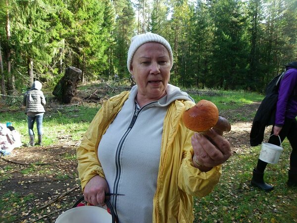 Kaugeltki mitte, kogemused ja oskused ei vea iial alt! Seeneline näitab meile harilikku kivi- ja haavapuravikku, mõlemad kaunid. Foto: Anatoli Tarassov