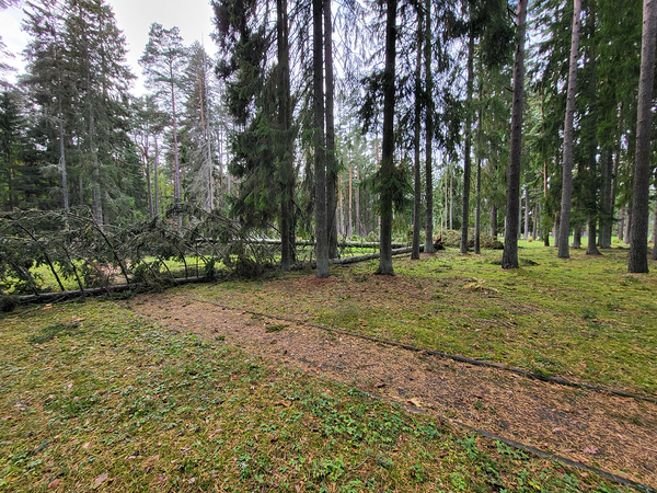 Sügisese tormi järel murdunud puud.