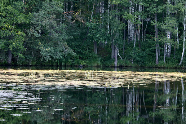 Poruni jõgi.