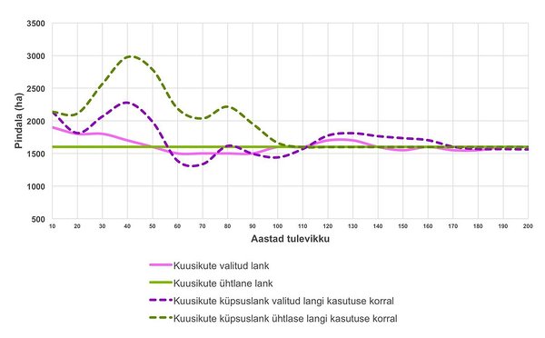 Joonis 6. Majandatavate kuusikute võimalik langivalik järgmiseks 200 aastaks.