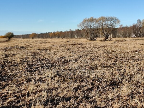 Võrtsjärve luht. Foto Priit Voolaid