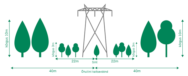 Õhuliini kaitsevöönd ja lubatud taimestiku maksimaalne kõrgus lendorava liikumiskoridorides. Meie eesmärk on kasutada madalakasvulisi puid ja põõsaid, et hooldusvajadus oleks võimalikult väike.