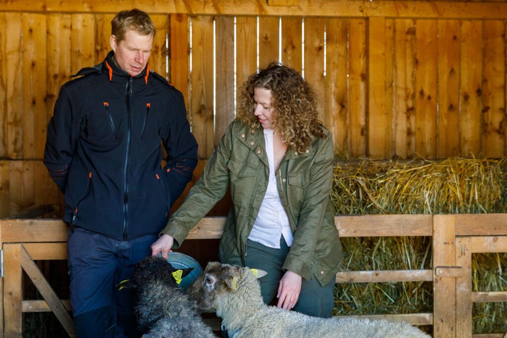 Aveliina ja tema elukaaslane Mart Meriste. Koos taastavad nad elupaikasid, asustavad targalt ja teaduspõhiselt ümber kaitsealuseid liike ning nõustavad ja aitavad maastikuarhitekte ja linnaplaneerijaid loodussõbralikemate maastike ja linnade loomisel. Aveliina Helm ja Mart Meriste lammastega