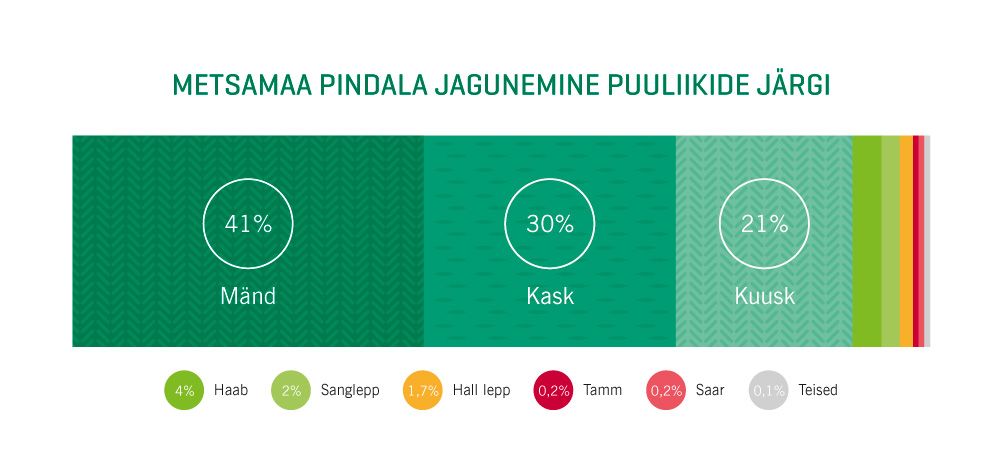 Metsamaa pindala jagunemine puuliikide järgi graafik