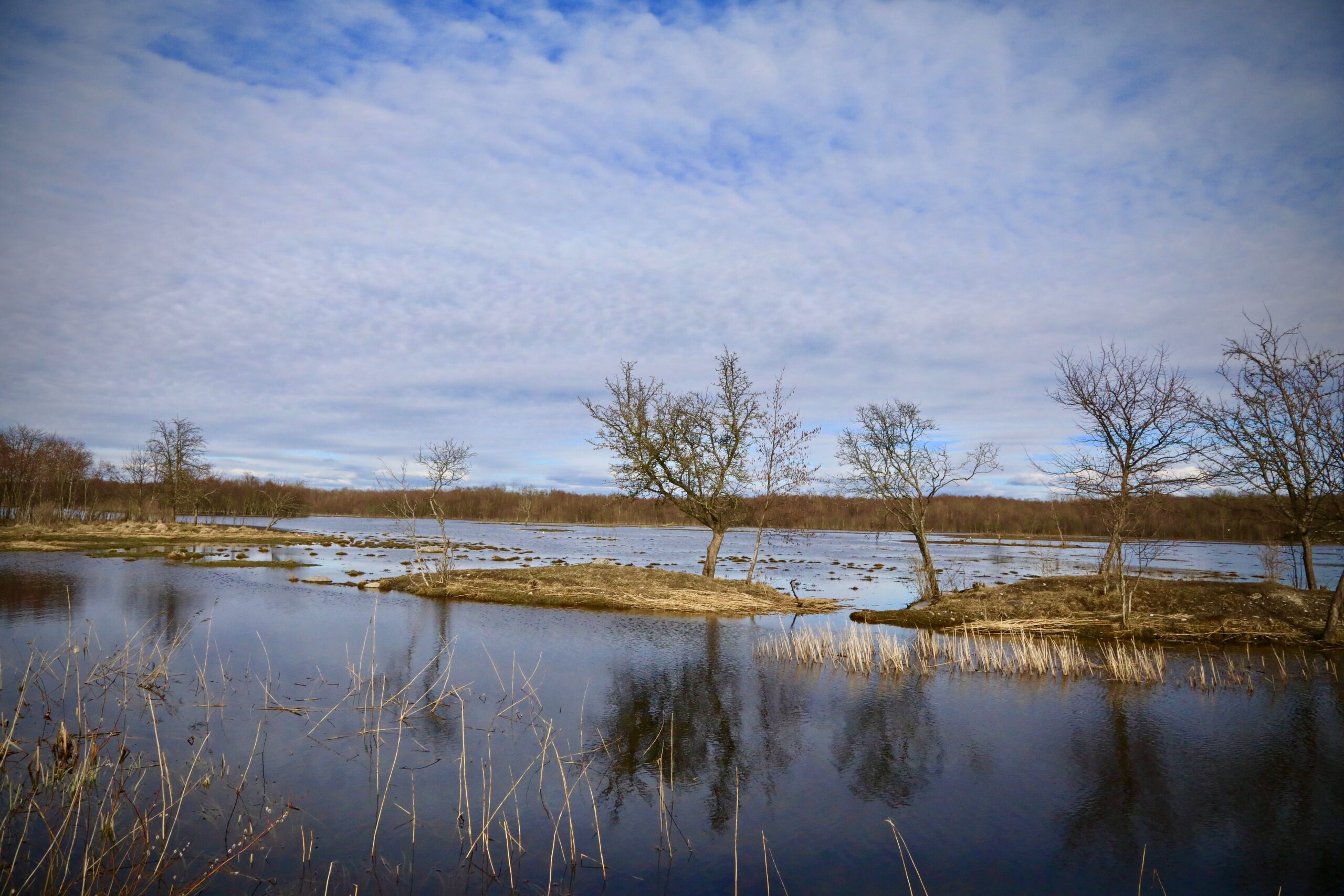 Kevadine suurvesi Penijõel