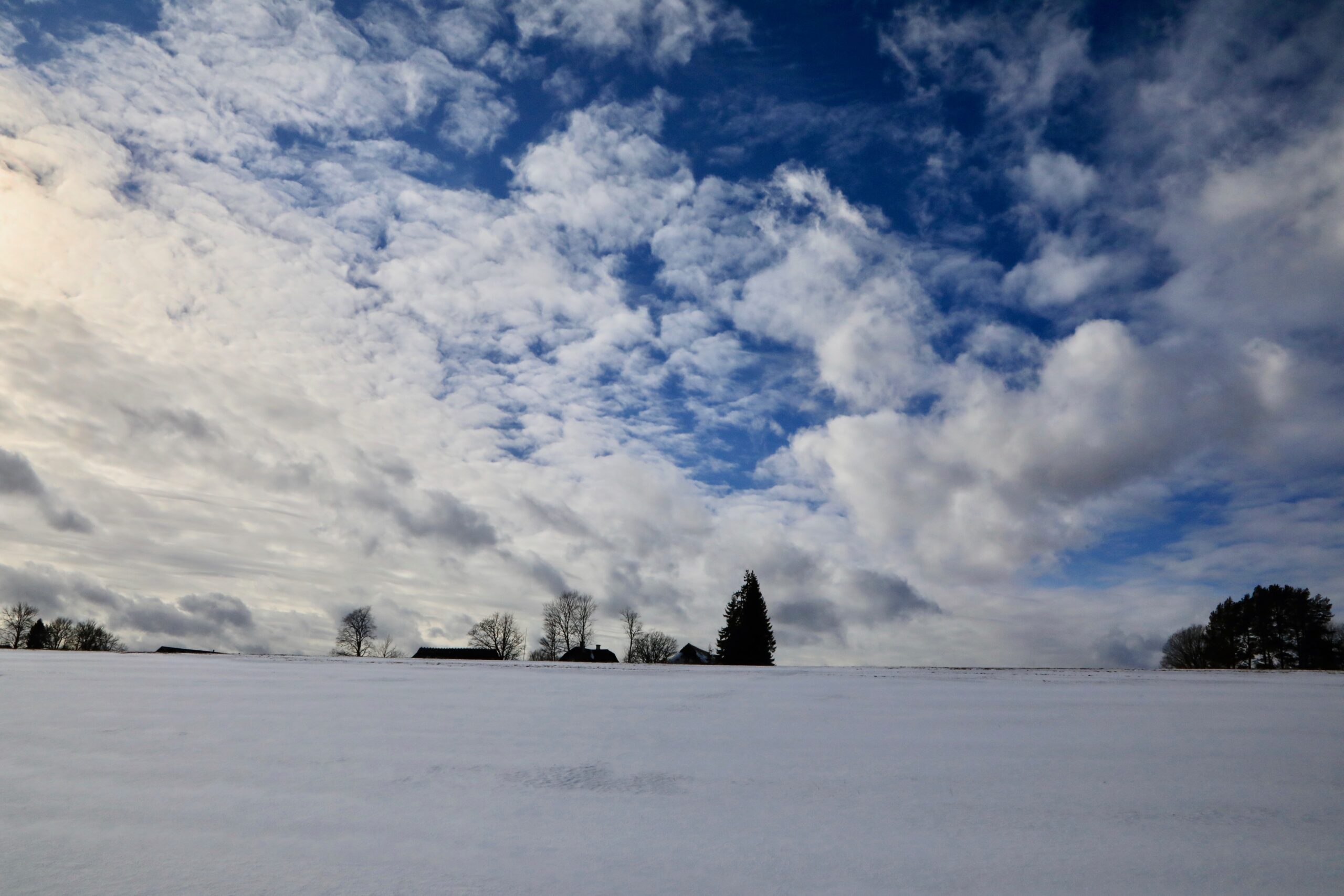 Vargamäe talu kauguses