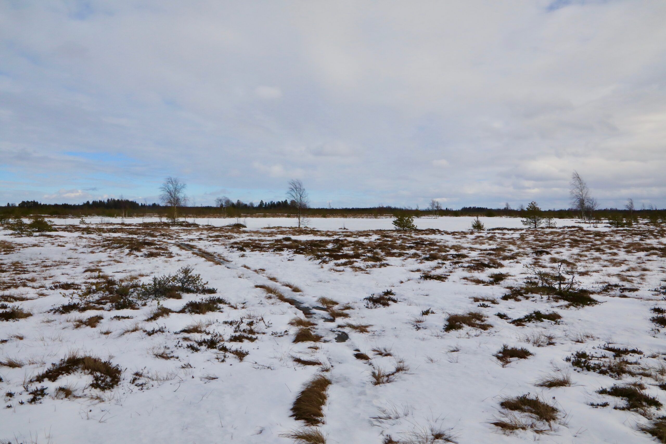 Lumine soo ja jäätunud Vibujärv