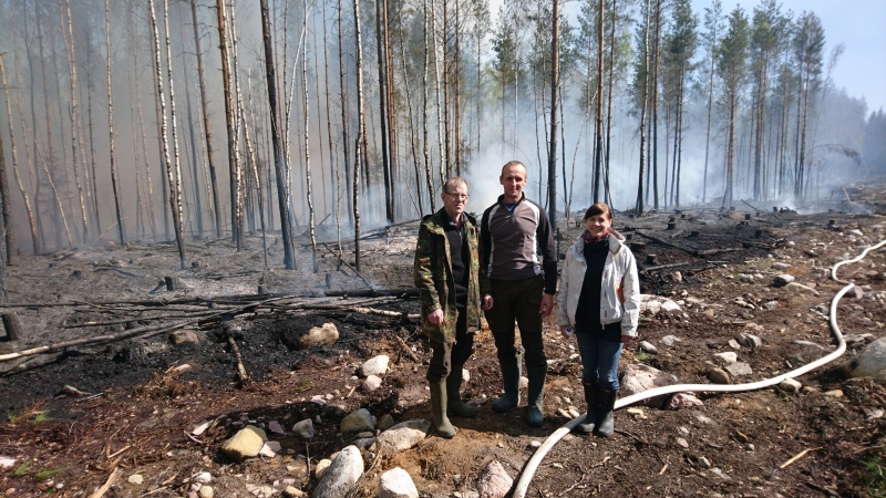Inimesed põletatud metsa taustal