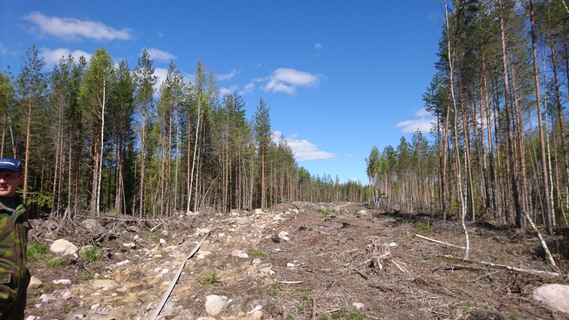 Lagedaks raiutud riba