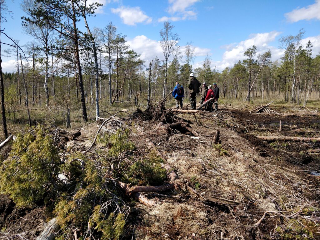 Maskeeritud pinnaspais