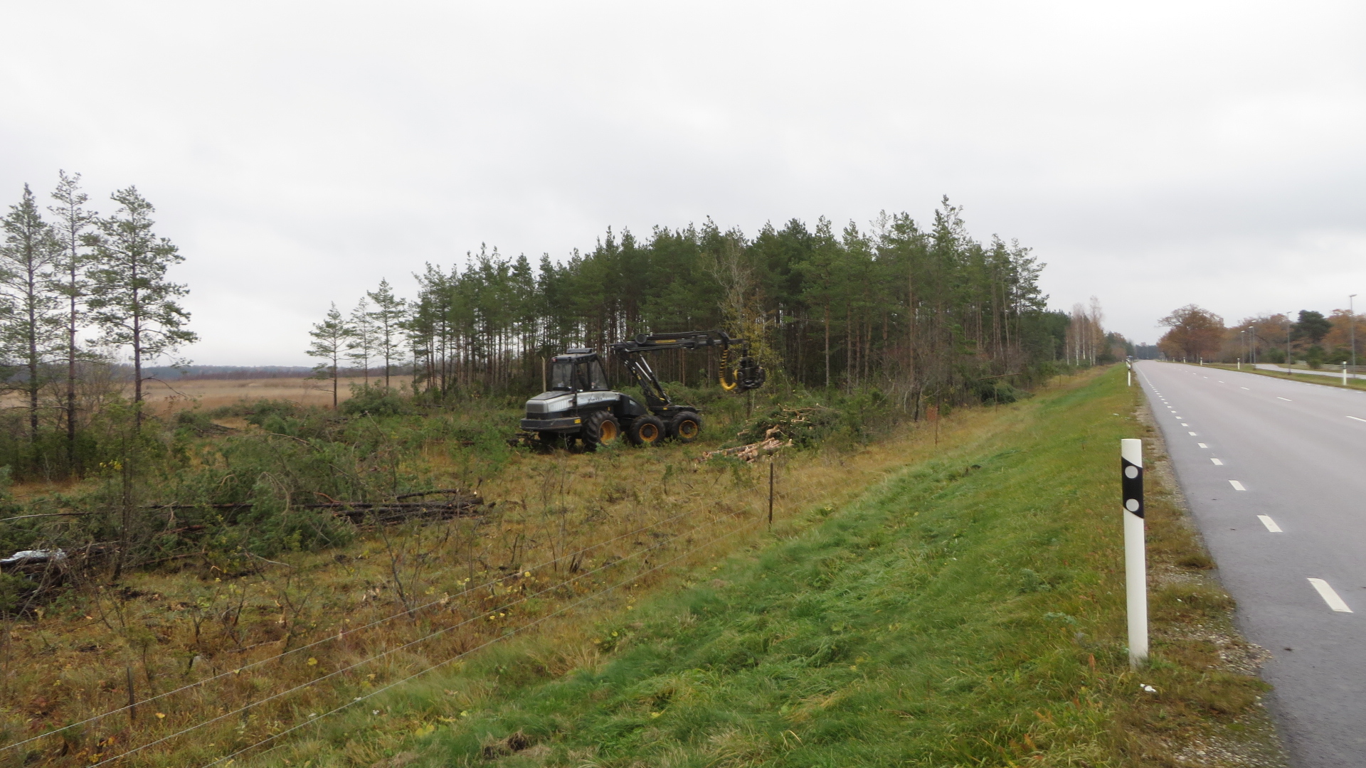 Raietööd 2016. aasta sügisel