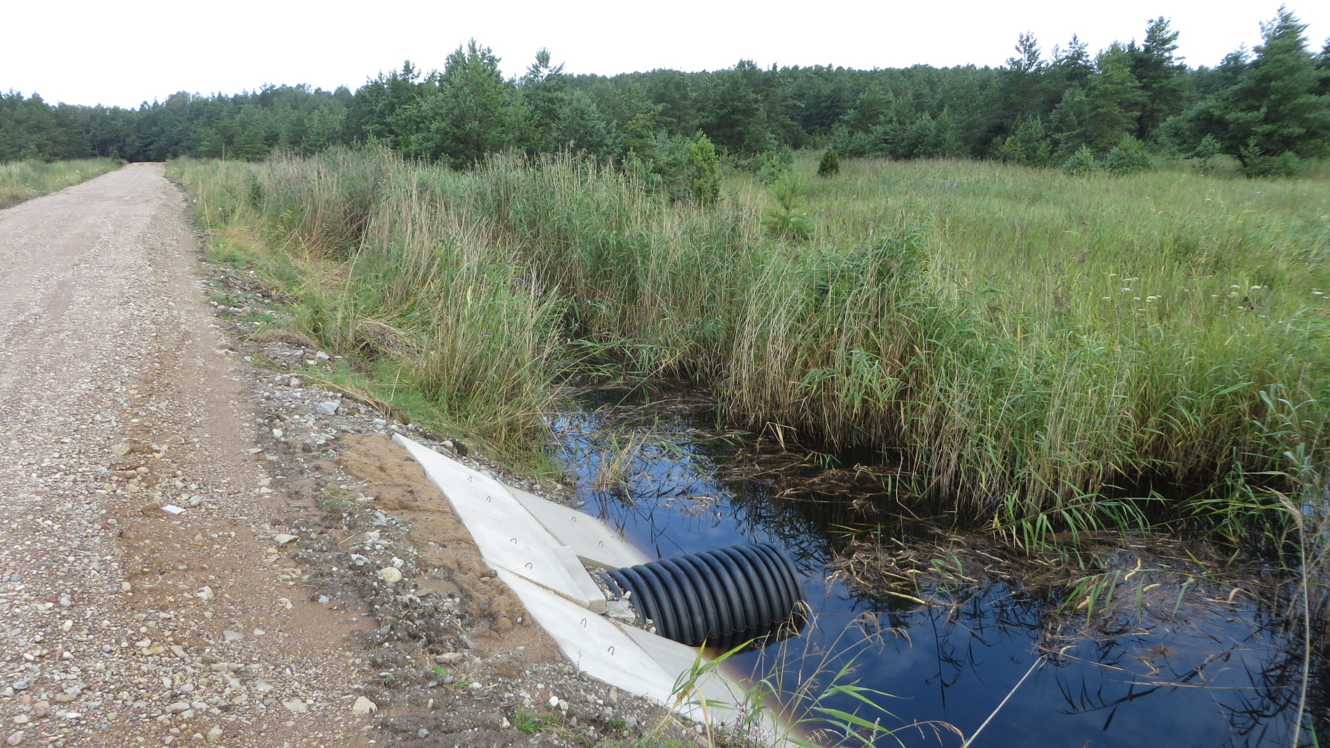 Uus truup Kasti hoiualal