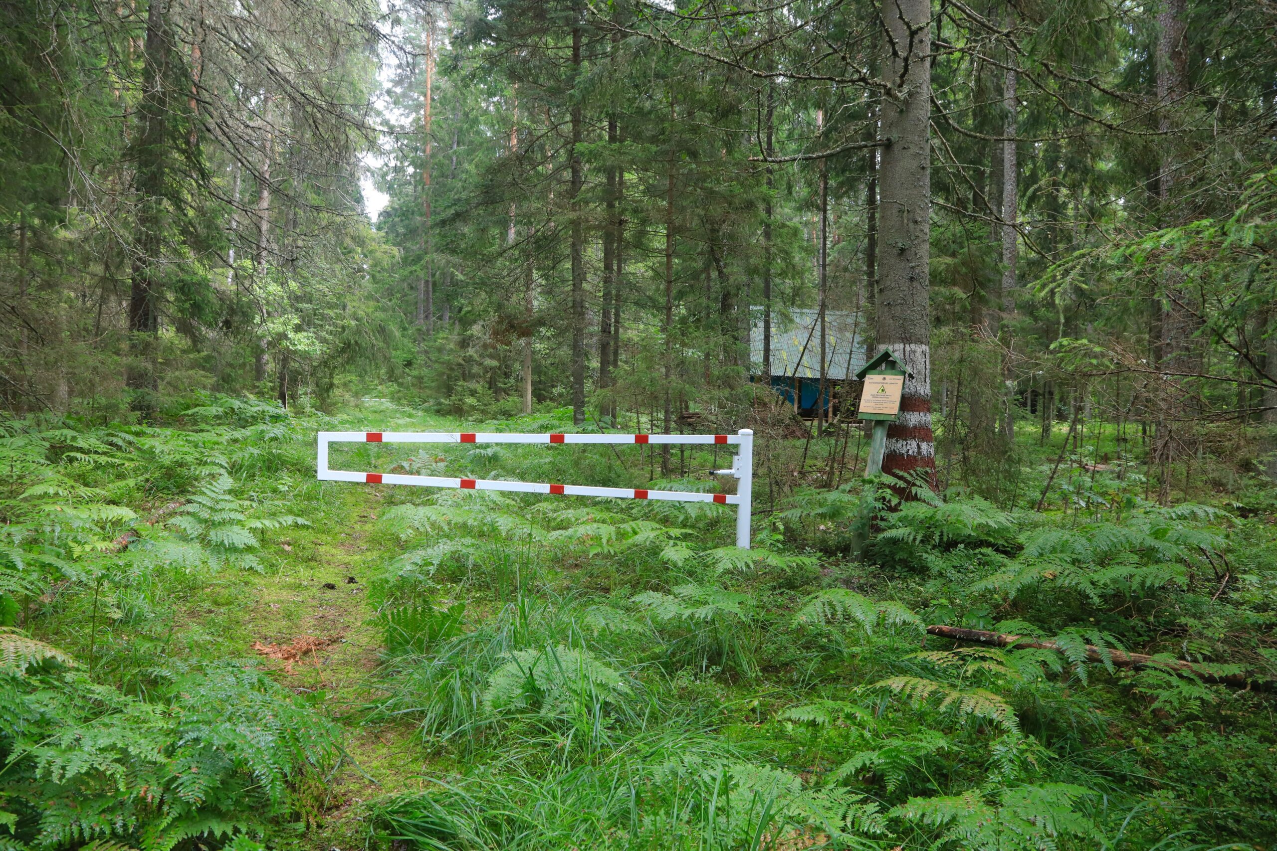 Tõkkepuu lasketiiru ala ees