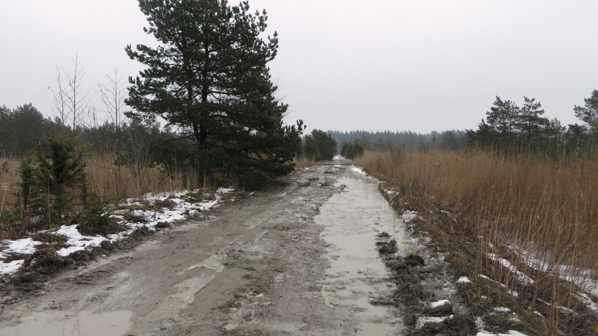 Tee Muratsist Suure-Tulpele