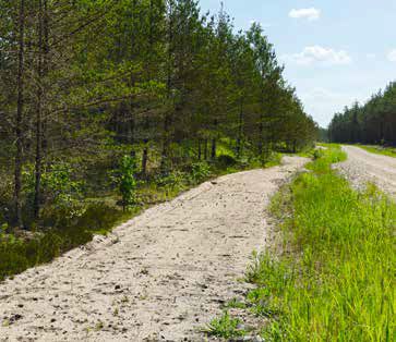 Peraküla pool, kus puhkajaid ja marjulisi liigub palju, on tuletõkkeribasid tõmmatud ka kvartalisihtidele, kuid ennekõike tehakse neid eesmärgiga püüda tee servas kinni näiteks autoaknast välja lennanud suitsukoni. tuöetõkkeriba