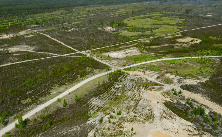 Tulest puututud maa 11 aastat hiljem. Maapind 11 aastat pärast tulekahju