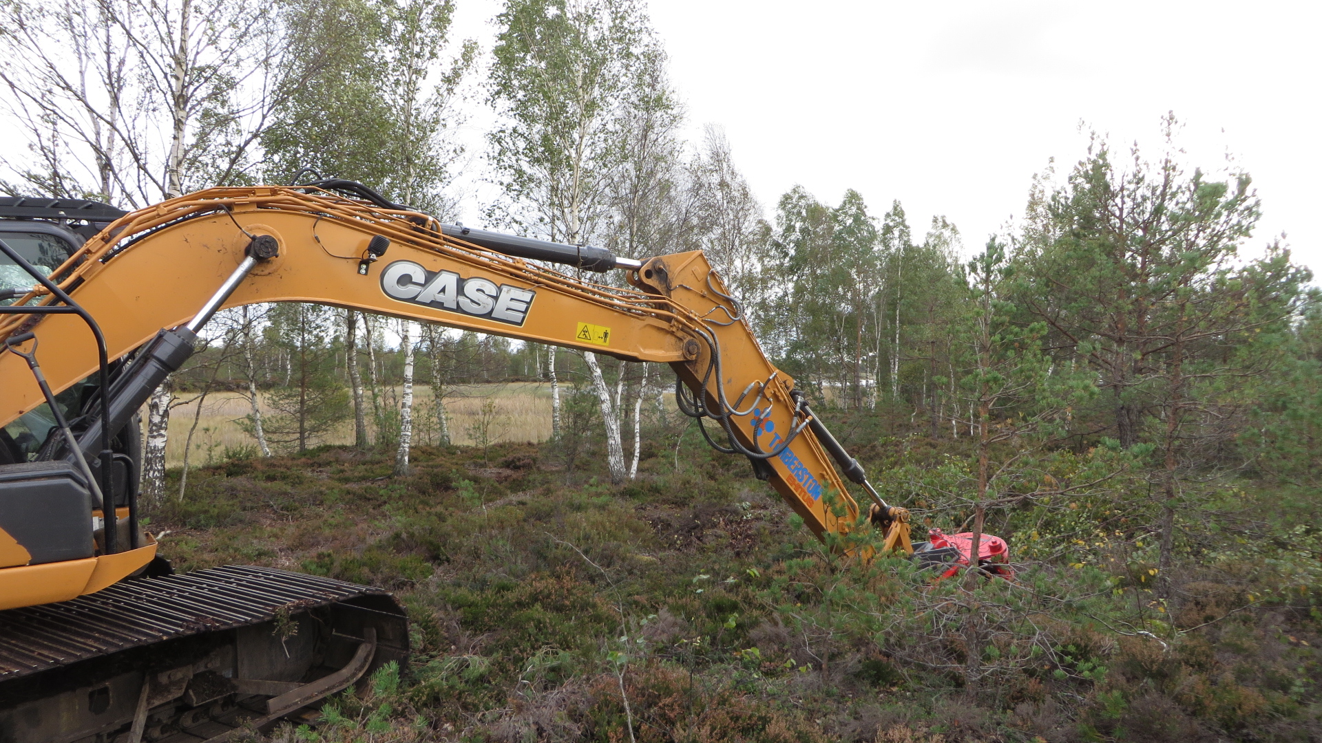 Lai roomik turbasel pinnal