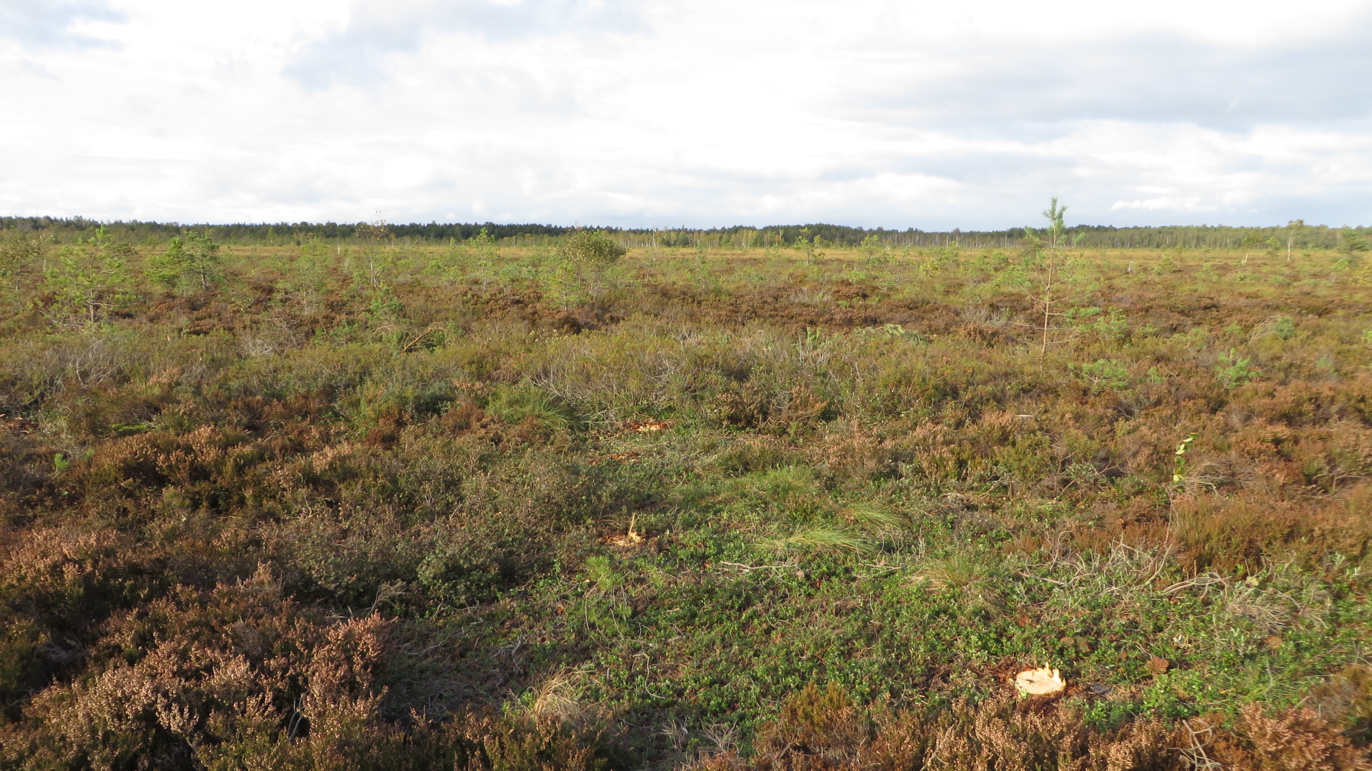 Vaade objekti põhjapiirilt