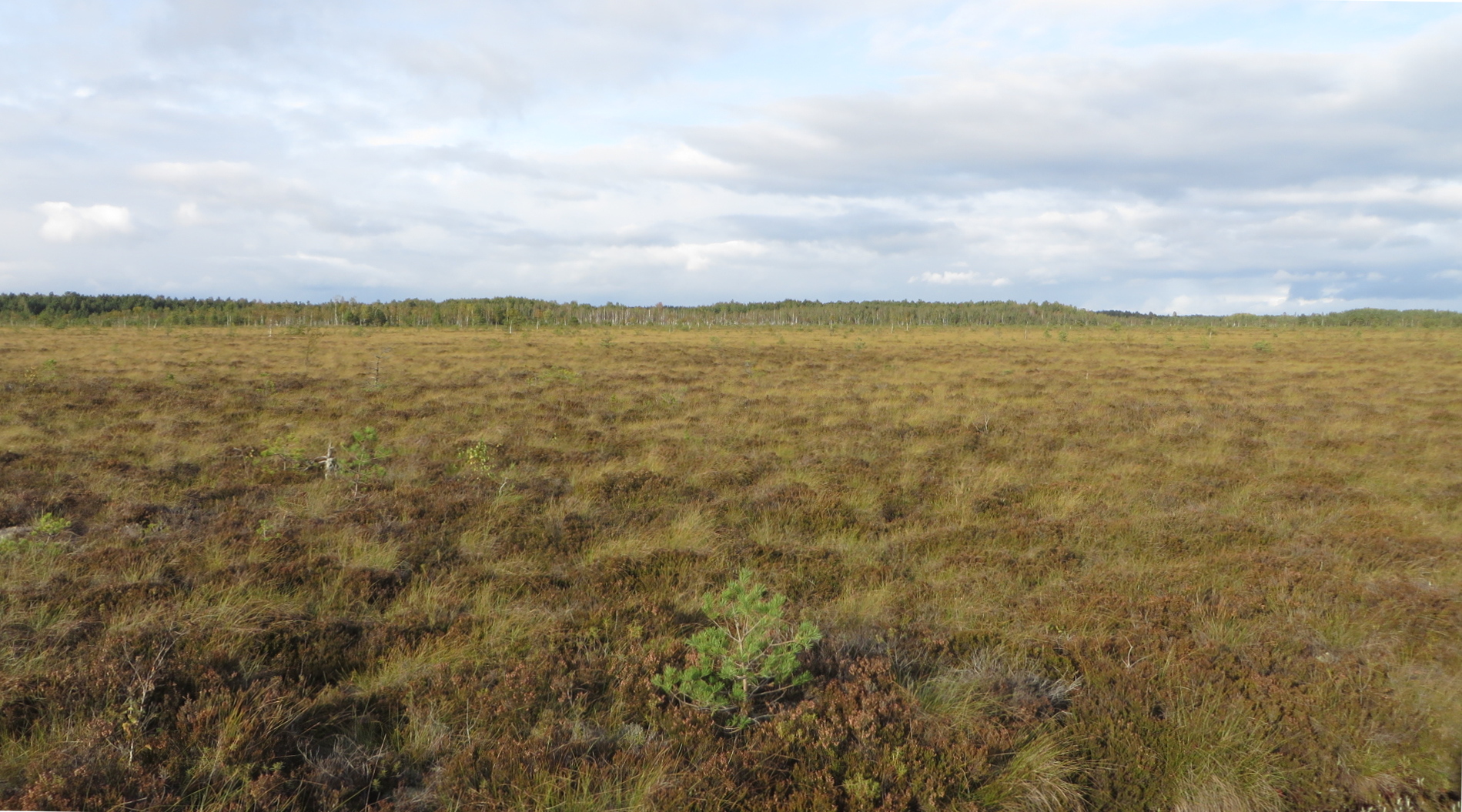 Inimtegevusest rikkumata Marjassoo