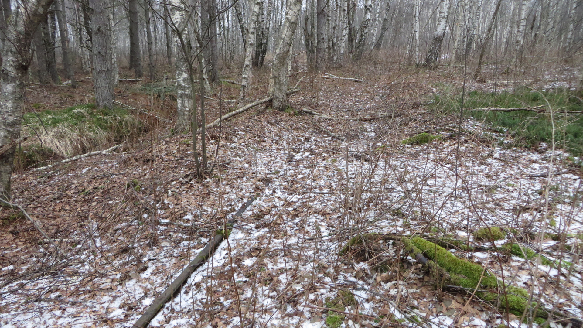 Jäänuk kaevandamisala teenindusteest