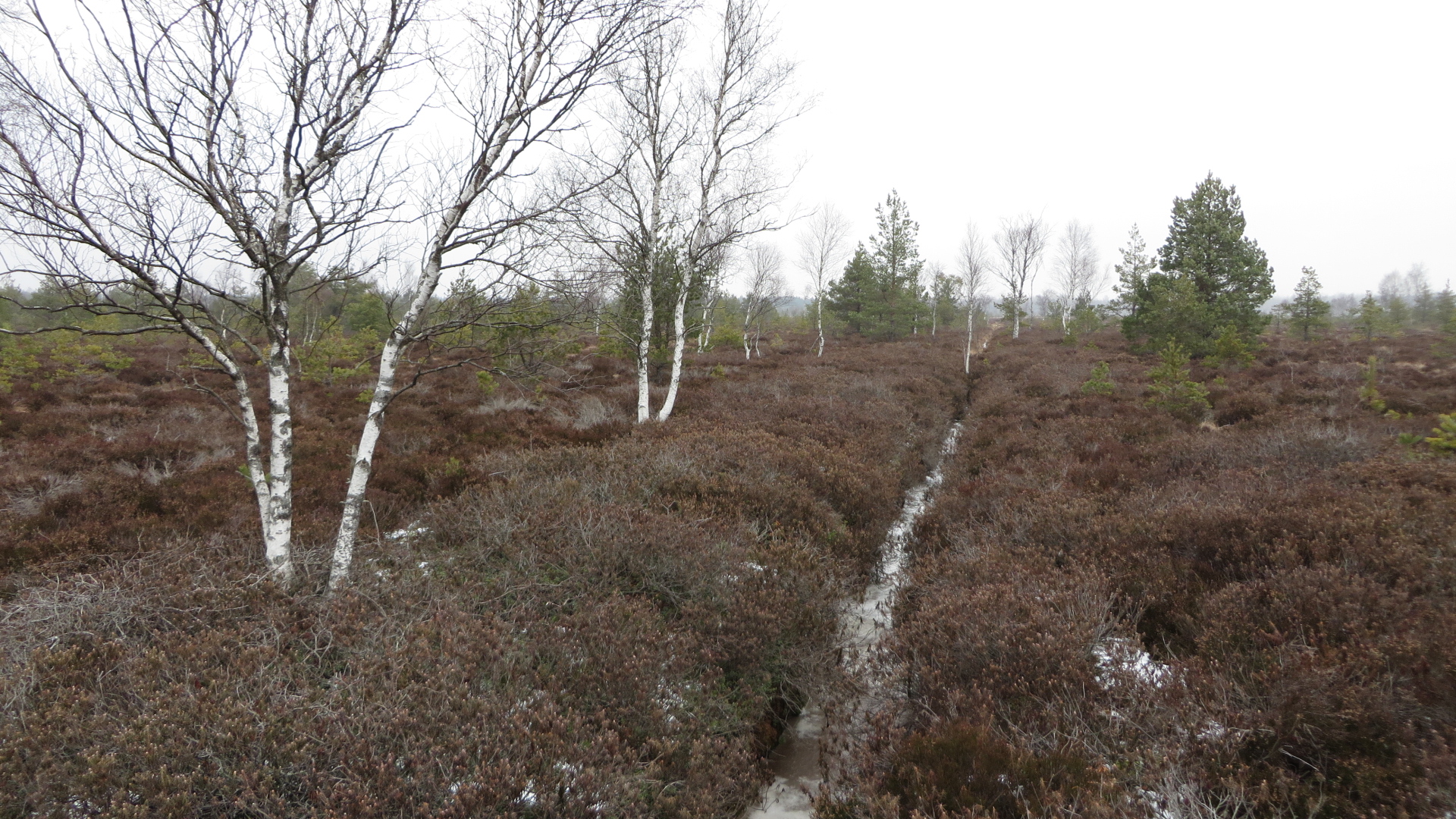 Kaevandamisala kuuivendamiseks rajatud kraavid